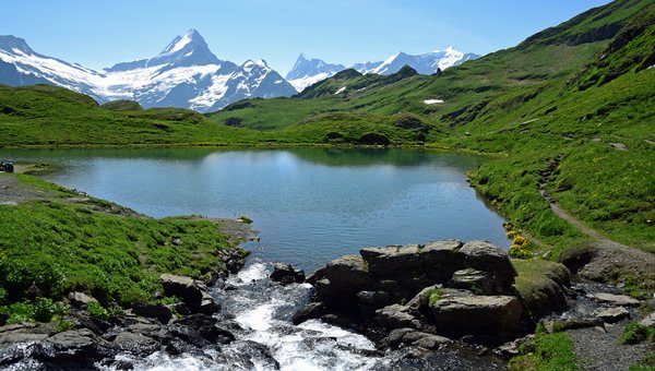 Ein Bergsee mit einem Bach im Vordergrund, umgeben von einer grünen Vegetation.