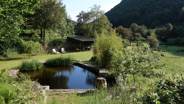 Einen Teich in einer grünen Umgebung.